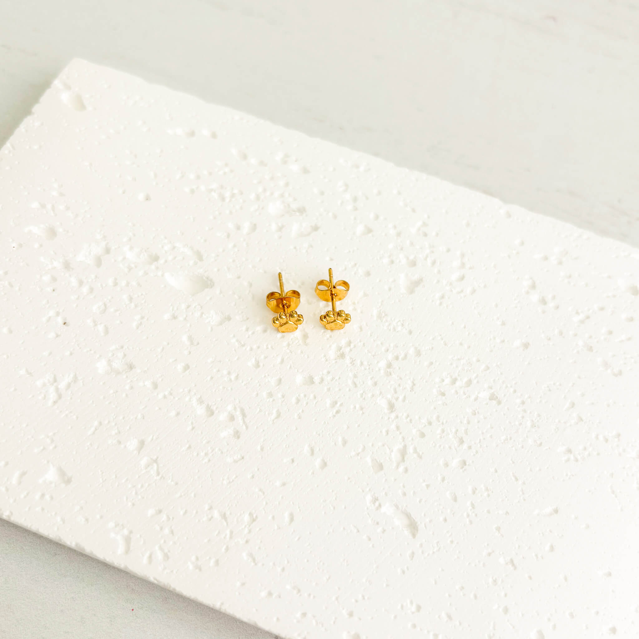 Topos Huella de Mascota Mini