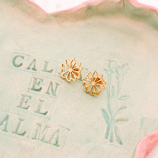 Aretes Flor Radiante