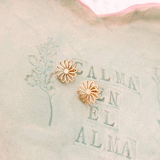 Aretes Flor de Luz