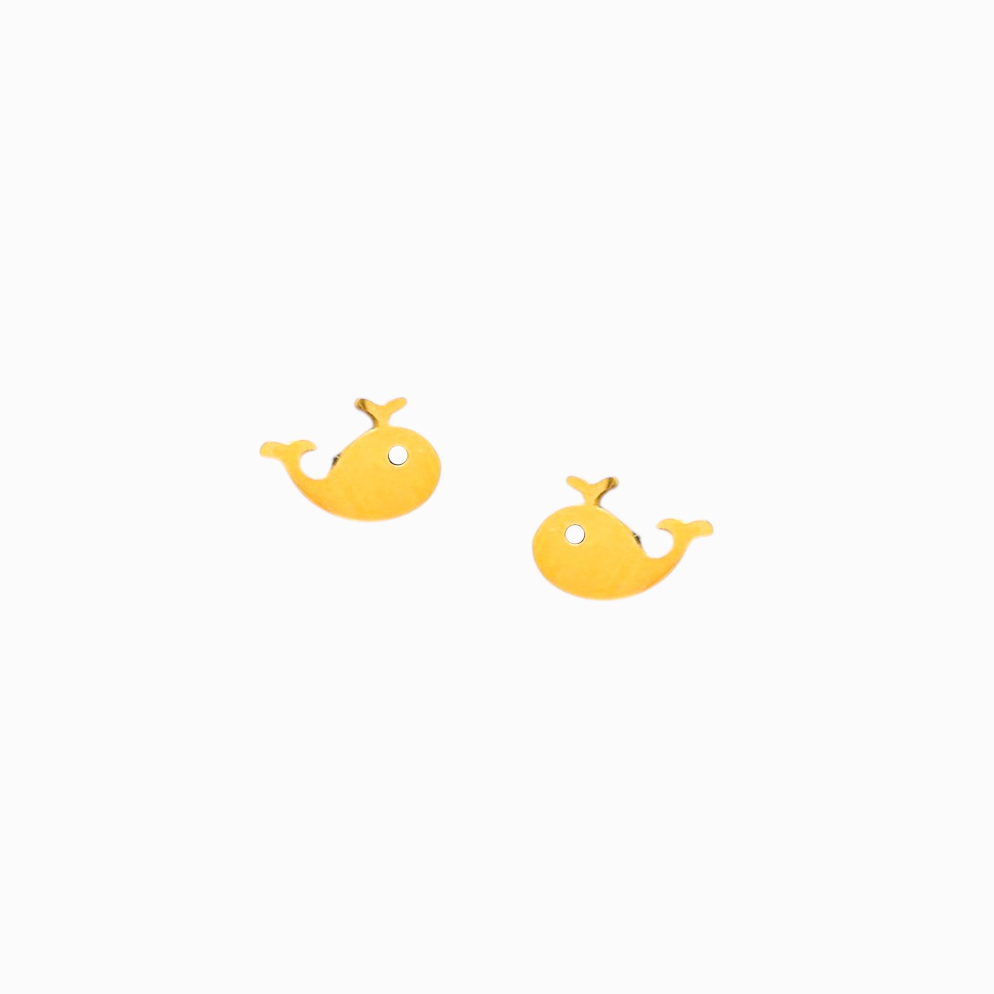 Topos Ballena