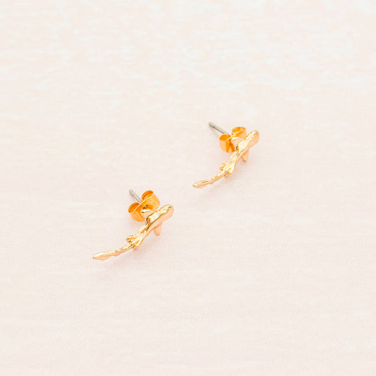 Topos Tiburón Pequeño